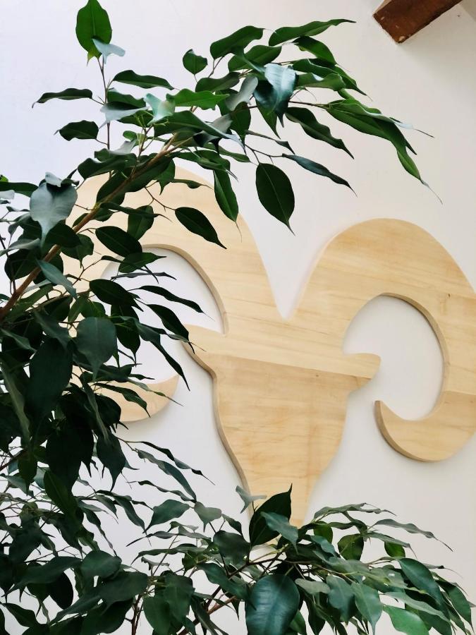 Gite La Grange Au Bois Viella  Exterior foto